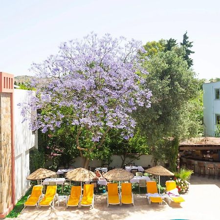 Kriss Hotel Αλικαρνασσός Εξωτερικό φωτογραφία